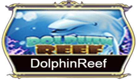 Dolphin Reef